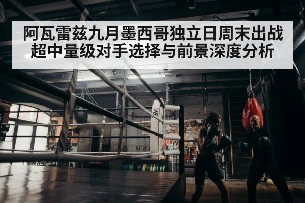 boxer training gym